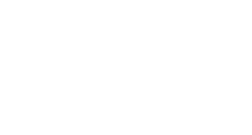 google partner white